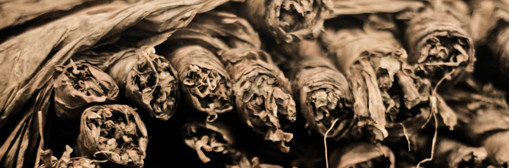 cigar_aficionado